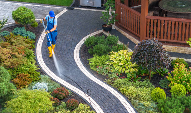 Best Commercial Building Pressure Washing  in Ckam Housing, HI